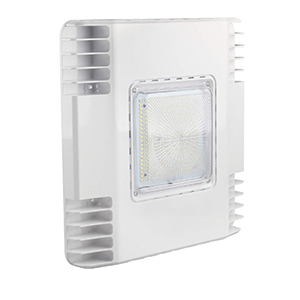 Petroleum Canopy Light