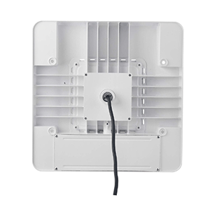 Petroleum Canopy Light Back